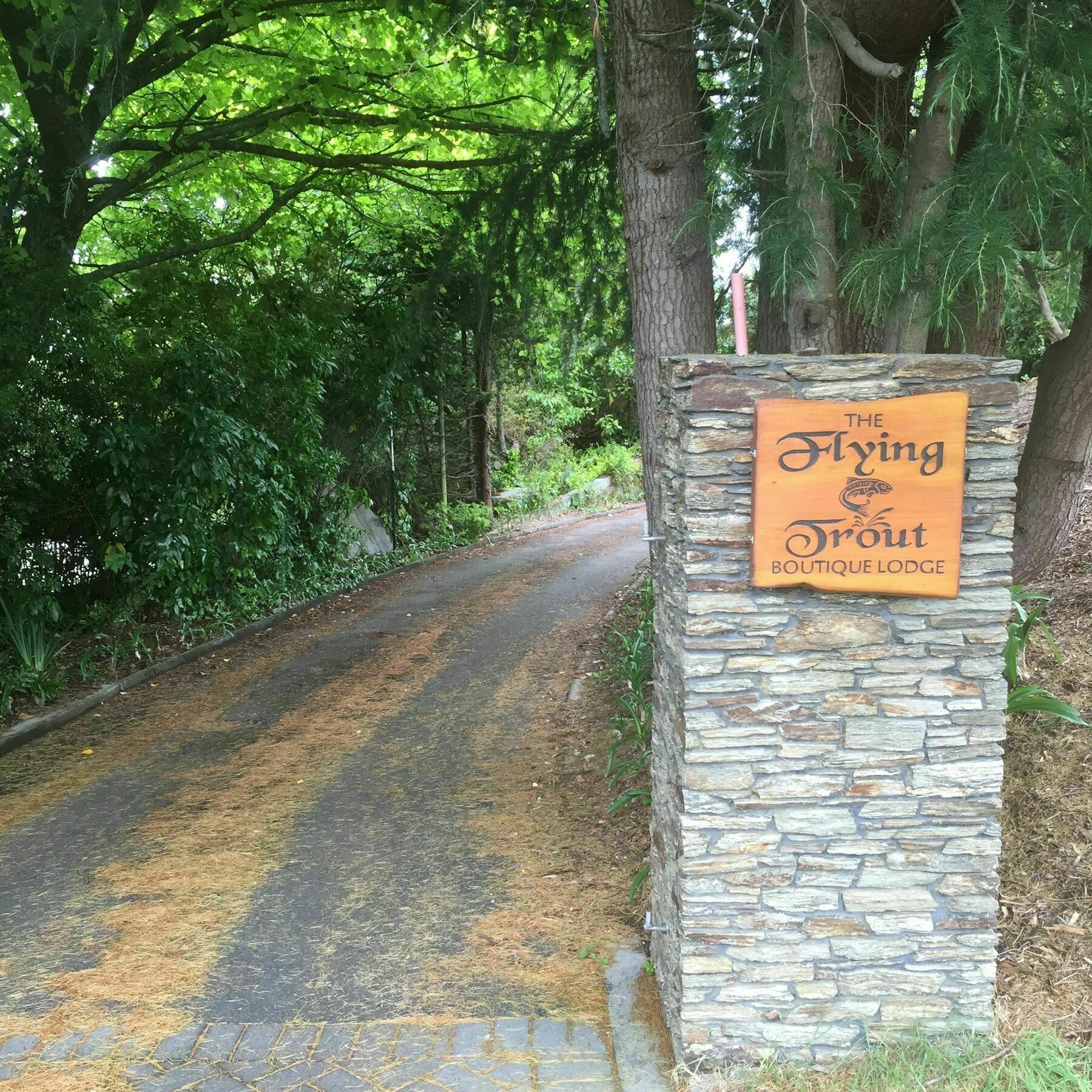 The Flying Trout Boutique Lodge Tauposee Exterior foto